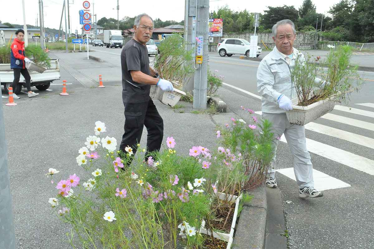 コスモスのプランターを設置する宇都宮市城山地区の皆さん