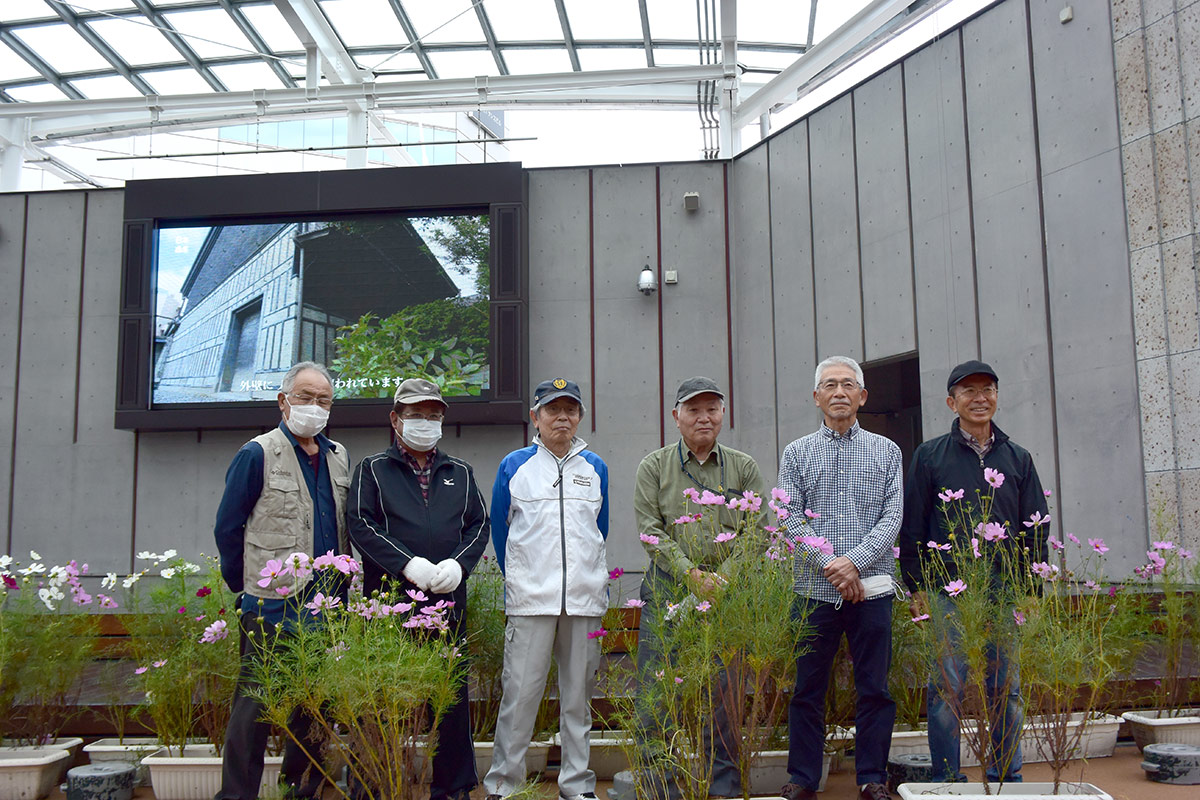 コスモスを育てられた宇都宮市城山地区の皆さん