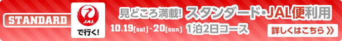 見どころ満載！　スタンダード・JAL便利用 1泊2日コース