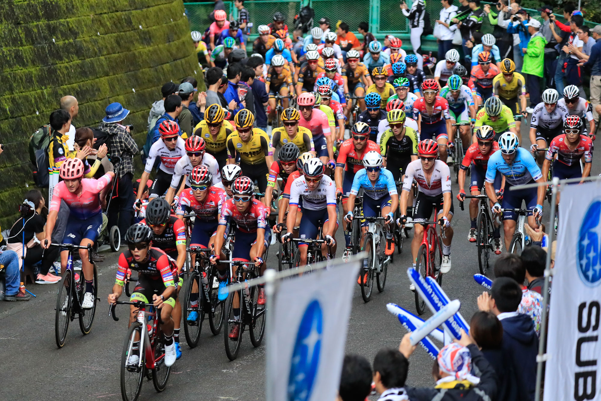 https://www.japancup.gr.jp/sites/default/files/revslider/image/ayano2019JapanCup-344-r4.jpg